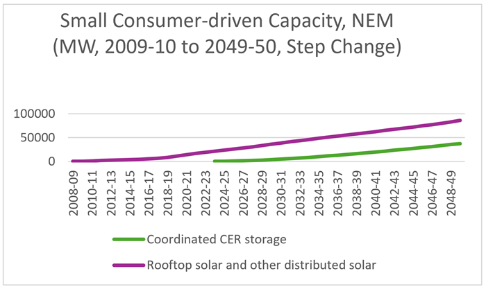Small Consumer-driven Capacity, NEM