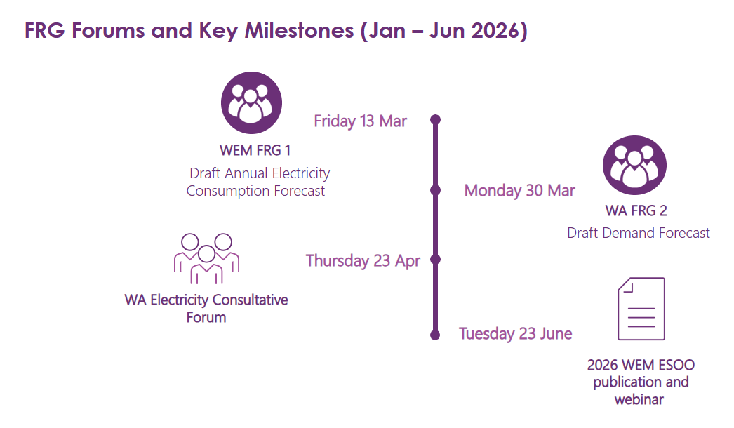 WEM FRG forward plan