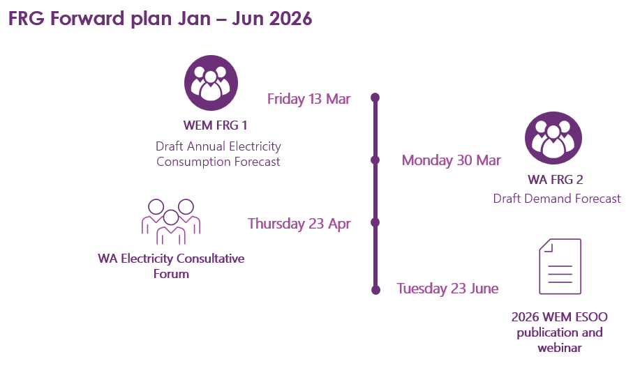 WEM FRG forward plan