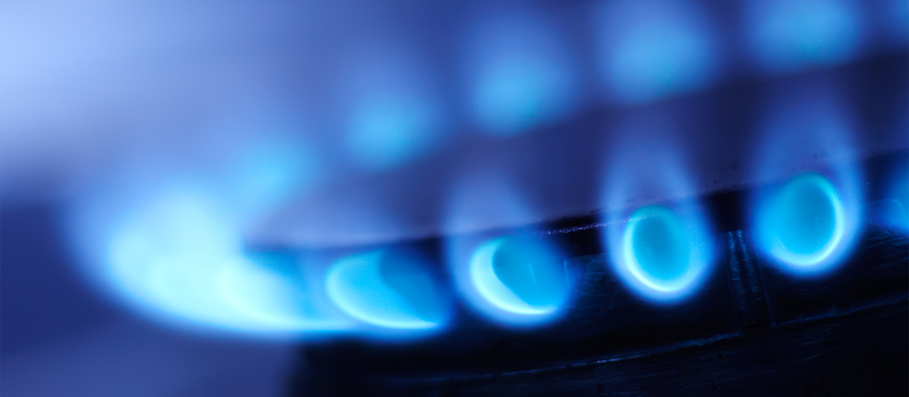 Gas burning on a stove