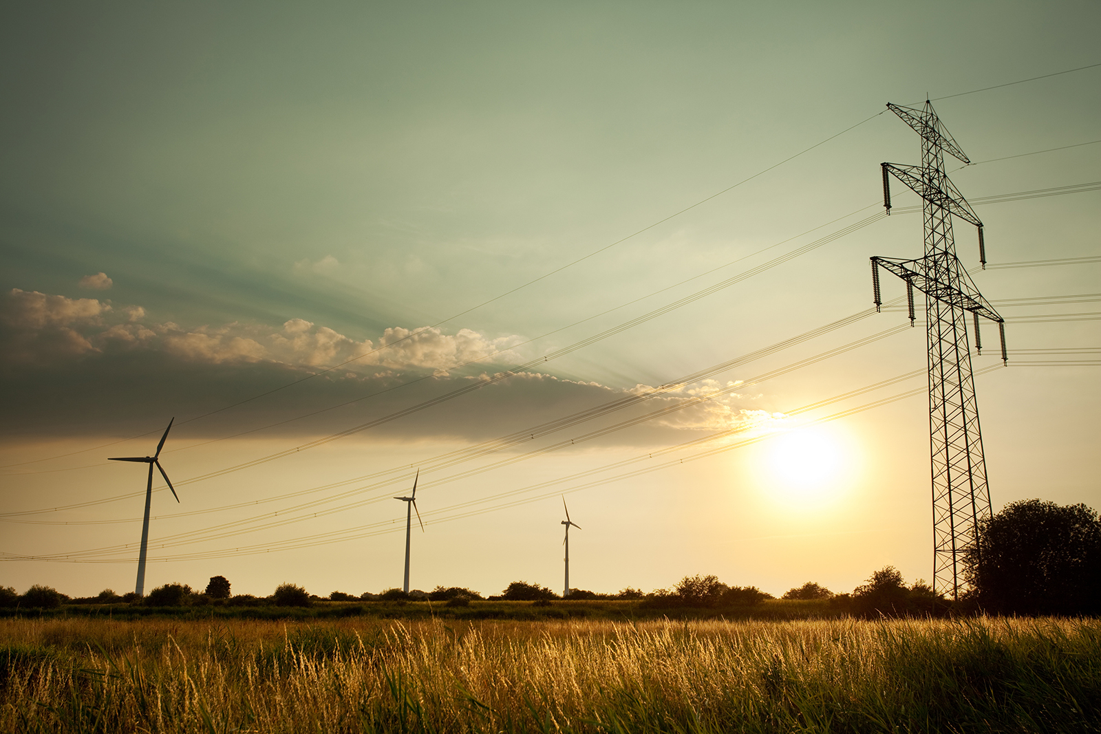 Participate in the NEM Transmission lines and wind generators