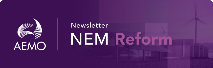 NEM Reform newsletter banner