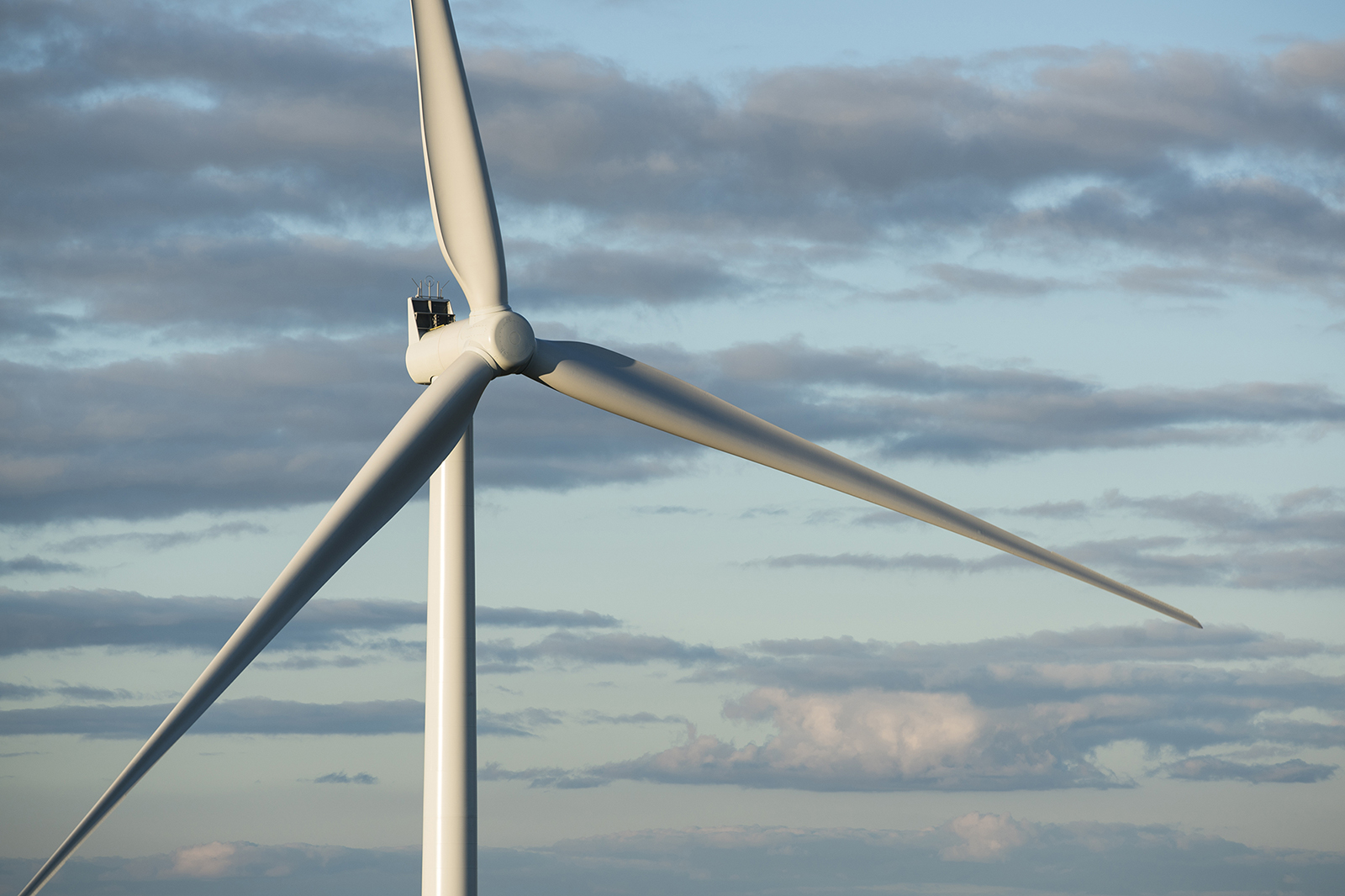 Windfarm