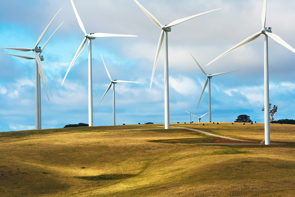 Group of windmills in a cattle farm for creating renewable energy in Taralga NSW Australia