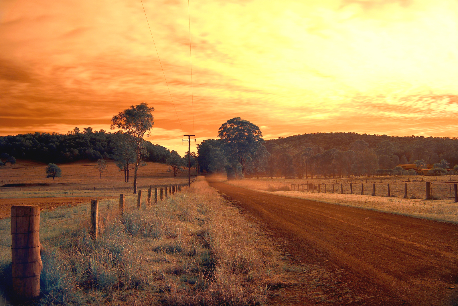 Australian Country road Nabiac in infrared